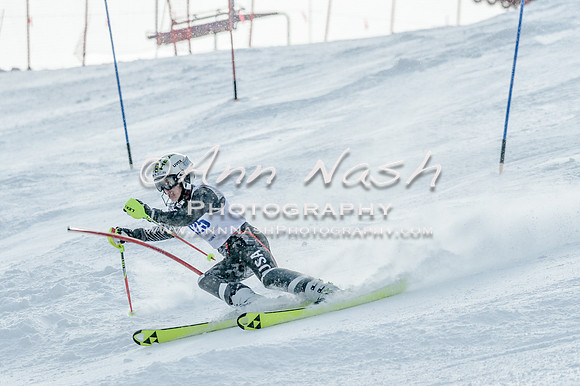 2016 February 14 alpine DSC_6578