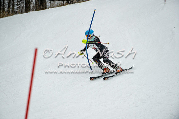 2015 December 18 alpine DSC_9238