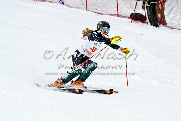 2016 January 22 alpine DSC_1914
