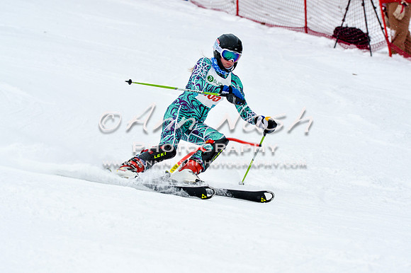 2016 January 22 alpine DSC_1438