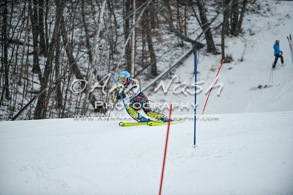2015 December 18 alpine DSC_9064