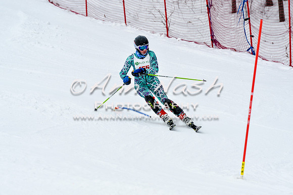 2016 January 22 alpine DSC_1437