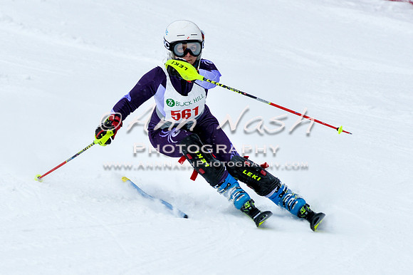 2016 January 22 alpine DSC_0746