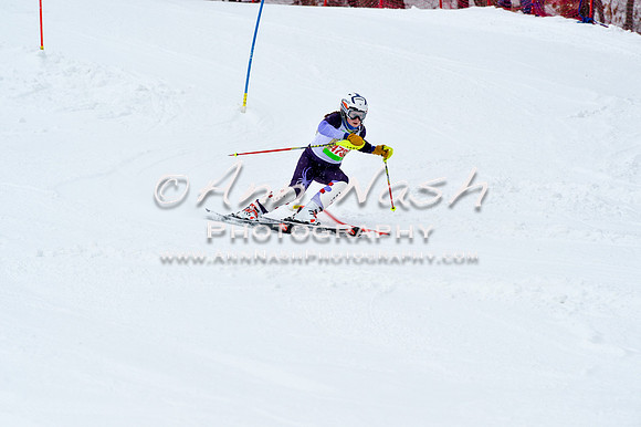 2016 January 22 alpine DSC_1055