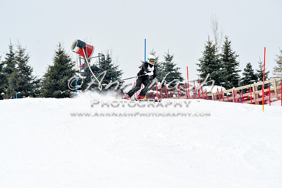 2016 January 22 alpine DSC_1671