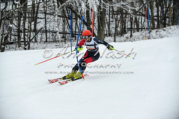 2015 December 18 alpine DSC_9328