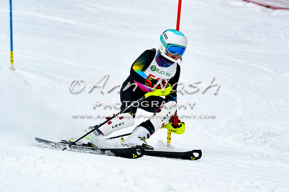 2016 January 22 alpine DSC_0921