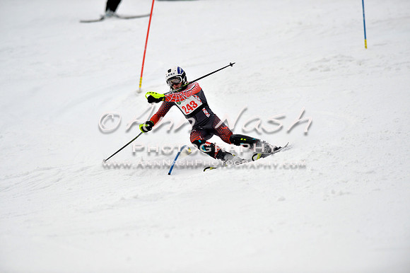 alpine_2015-01-22_12-03-35_DSC_1070_©AnnNashPhotographyLLC_2015
