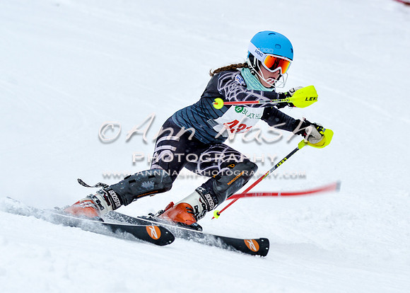 2016 January 22 alpine DSC_0600