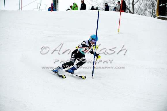 2015 December 18 alpine DSC_9531