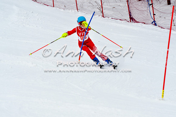 2016 January 22 alpine DSC_1554