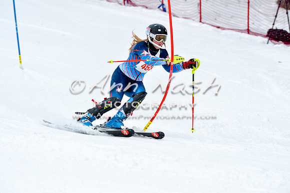2016 January 22 alpine DSC_1039
