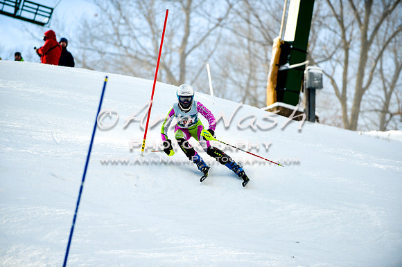 2015 December 18 alpine DSC_0117