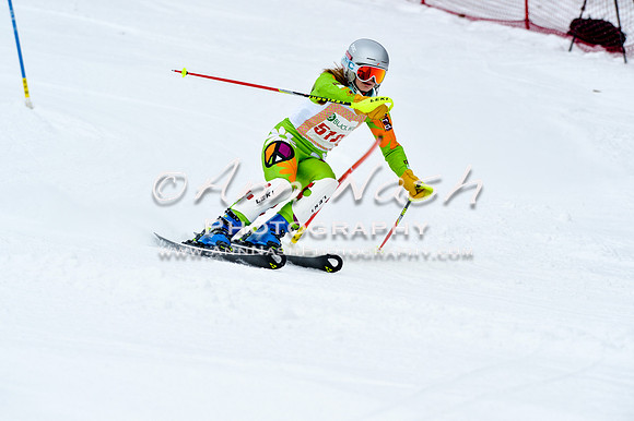 2016 January 22 alpine DSC_0899