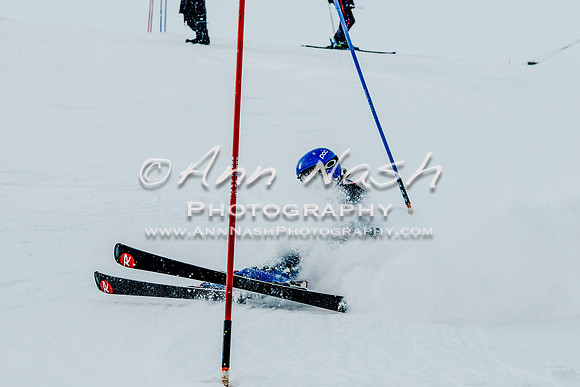 2016 February 14 alpine DSC_7243-2