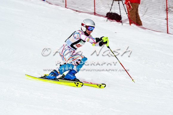 2016 January 22 alpine DSC_1617