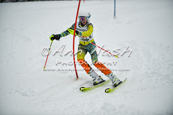 2015 December 18 alpine DSC_9166