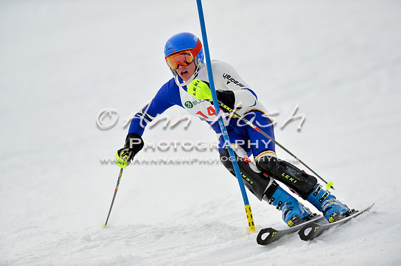 alpine_2015-01-22_11-44-40_DSC_0413_©AnnNashPhotographyLLC_2015