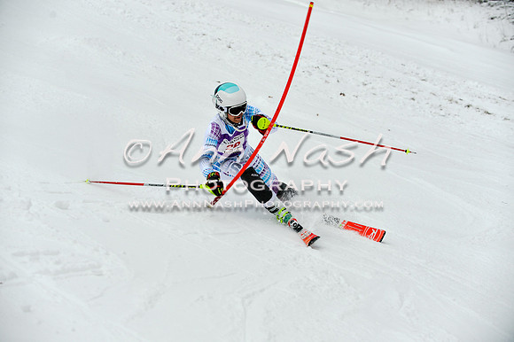 2015 December 18 alpine DSC_9501