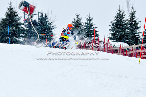 2016 January 22 alpine DSC_0639