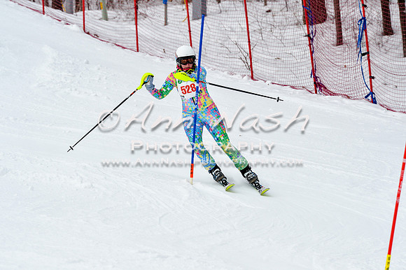 2016 January 22 alpine DSC_1921