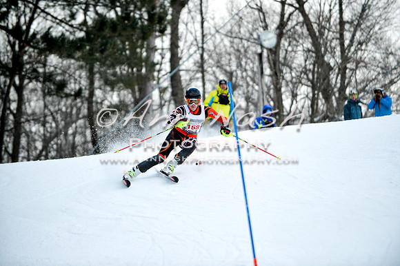 2015 December 18 alpine DSC_9778