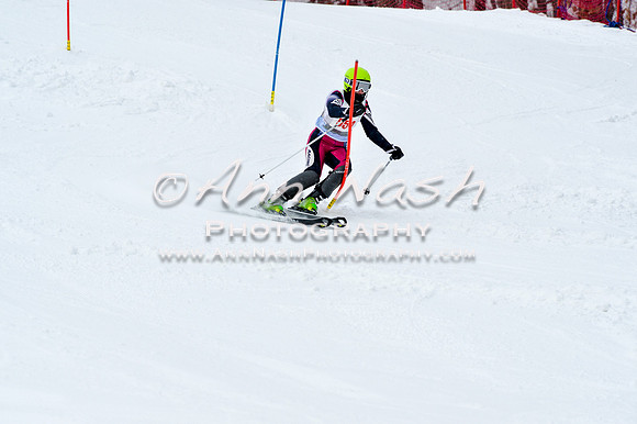 2016 January 22 alpine DSC_1322