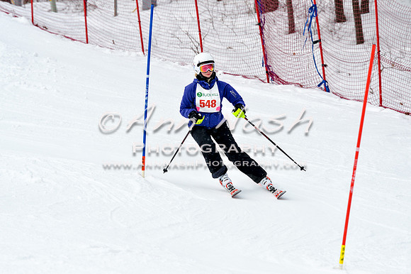 2016 January 22 alpine DSC_1927