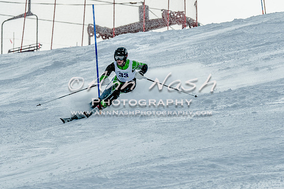 2016 February 14 alpine DSC_6880