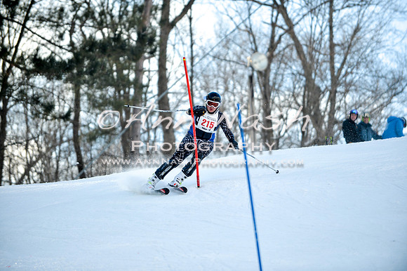 2015 December 18 alpine DSC_0094
