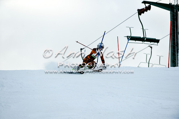2015 December 18 alpine DSC_9773