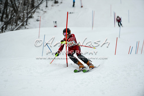 2015 December 18 alpine DSC_9339