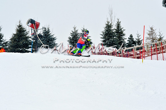 2016 January 22 alpine DSC_1504