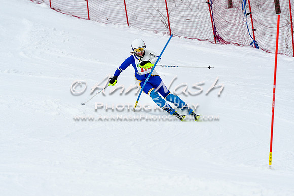 2016 January 22 alpine DSC_1184