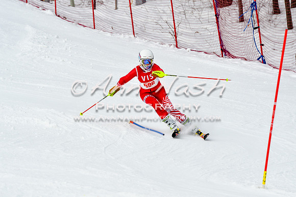 2016 January 22 alpine DSC_1721