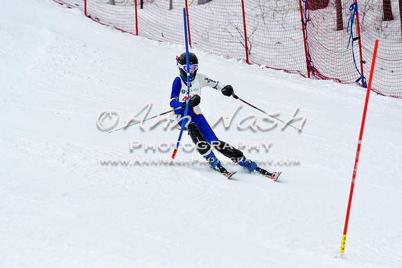 2016 January 22 alpine DSC_1395