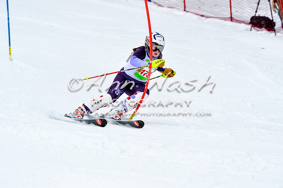 2016 January 22 alpine DSC_1059