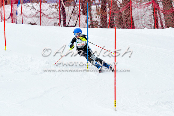 2016 January 22 alpine DSC_1144