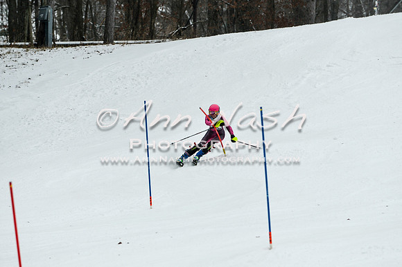 2015 December 18 alpine DSC_9419