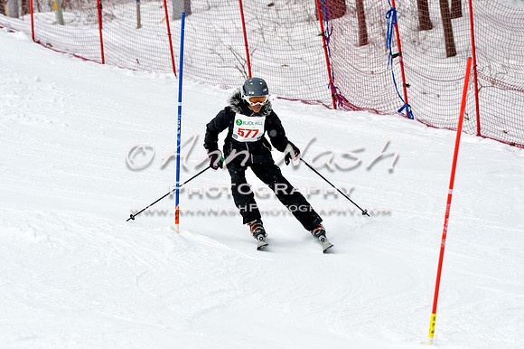 2016 January 22 alpine DSC_1974
