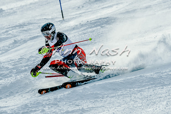 2016 February 14 alpine DSC_6702