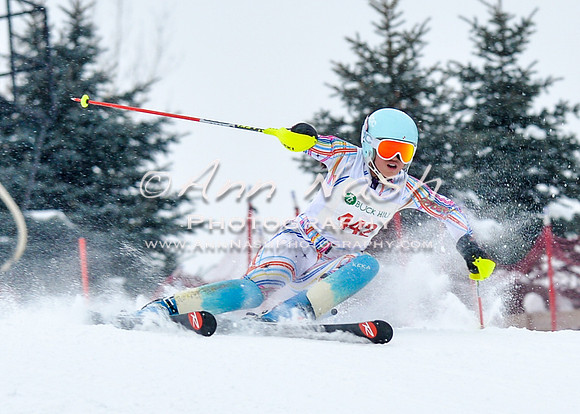2016 January 22 alpine DSC_0809