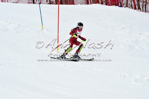 2016 January 22 alpine DSC_1871
