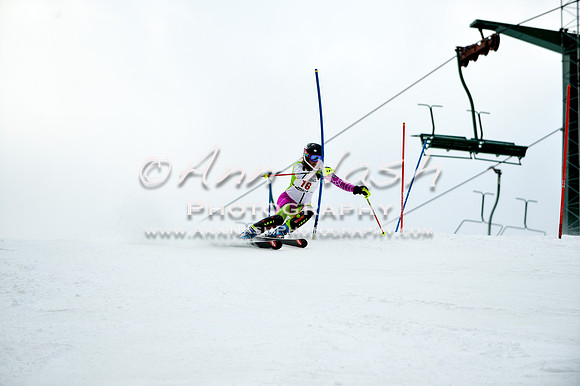 2015 December 18 alpine DSC_9624