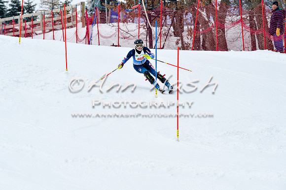 2016 January 22 alpine DSC_1033