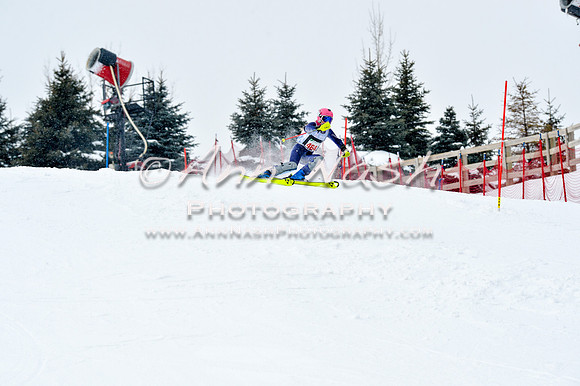 2016 January 22 alpine DSC_1264