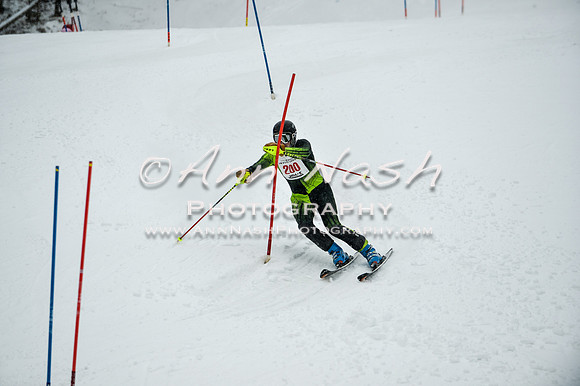 2015 December 18 alpine DSC_9262