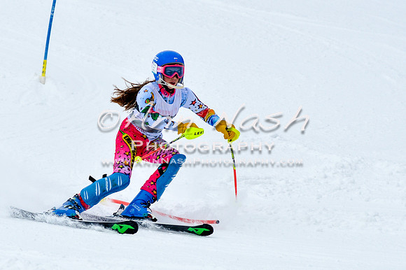 2016 January 22 alpine DSC_0765