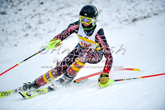 2015 December 18 alpine DSC_9772