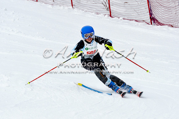 2016 January 22 alpine DSC_1146